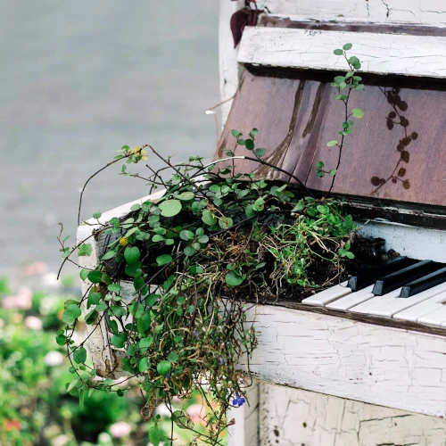 A piano with vines growing out of it
